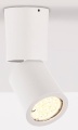Maxlight Dot (C0123) C0123 Plafon lampa sufitowa oprawa spo