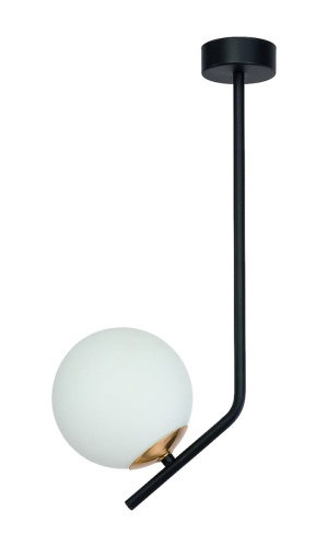 21965-large.jpg