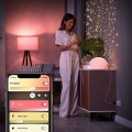 8719514342309 Wtyczka Smart plug PHILIPS HUE