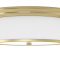 famburopl-old-gold-39-3-z.jpg