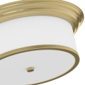 famburopl-old-gold-39-1-z.jpg
