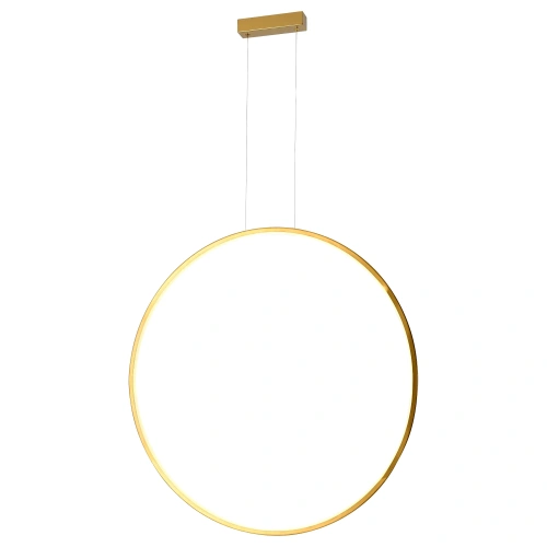 PL0119-85-GD LOOP LAMPAWISZĄCA ZŁOTA IP44 LED 39W 3000K YASKR