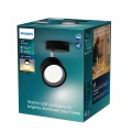 8720169174825  Sufitowy/ścienny reflektor punktowy Bracia 5,5 W PHILIPS