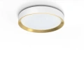 8720169301375 Hanno ceiling SS RD 24W 2700K PLAFON PHILIPS
