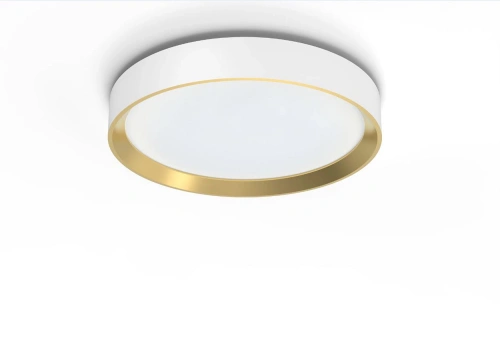 8720169301375 Hanno ceiling SS RD 24W 2700K PLAFON PHILIPS