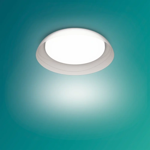 8720169300972 Fleta UE Ceiling SS T 10W 2700K PHILIPS PLAFON