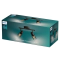 8720169299290  Reflektory punktowe sufitowe i ścienne Sufitowy/ścienny reflektor punktowy Palms LAMPA PHILIPS