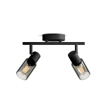 8720169299290  Reflektory punktowe sufitowe i ścienne Sufitowy/ścienny reflektor punktowy Palms LAMPA PHILIPS 