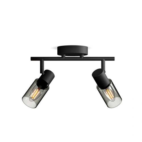 8720169299290  Reflektory punktowe sufitowe i ścienne Sufitowy/ścienny reflektor punktowy Palms LAMPA PHILIPS