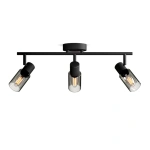 8720169299313 Reflektory punktowe sufitowe i ścienne Sufitowy/ścienny reflektor punktowy Palms LAMPA PHILIPS  (1)