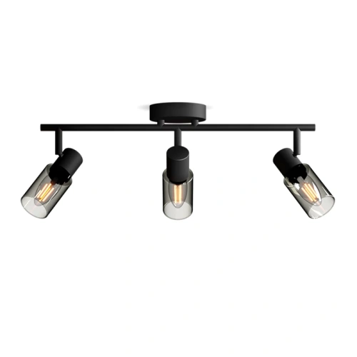 8720169299313 Reflektory punktowe sufitowe i ścienne Sufitowy/ścienny reflektor punktowy Palms LAMPA PHILIPS  (1)