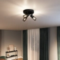 8720169299351 Reflektory punktowe sufitowe i ścienne Sufitowy/ścienny reflektor punktowy Palms 4 x LAMPA PHILIPS