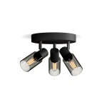 8720169299351 Reflektory punktowe sufitowe i ścienne Sufitowy/ścienny reflektor punktowy Palms 4 x LAMPA PHILIPS 