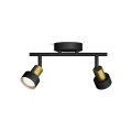 8720169299894 Sufitowy/ścienny reflektor punktowy Conduit LAMPA PHILIPS