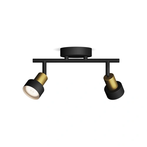 8720169299894 Sufitowy/ścienny reflektor punktowy Conduit LAMPA PHILIPS