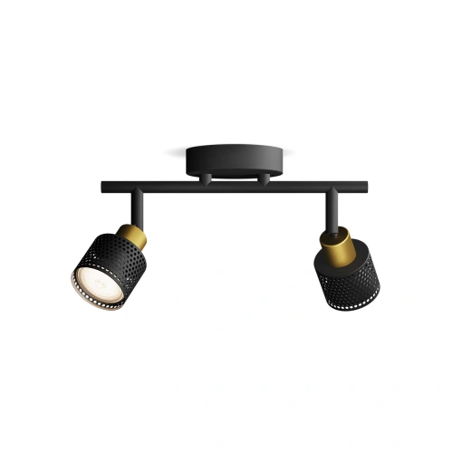 8720169300095 Sufitowy/ścienny reflektor punktowy Niall LAMPA PHILIPS