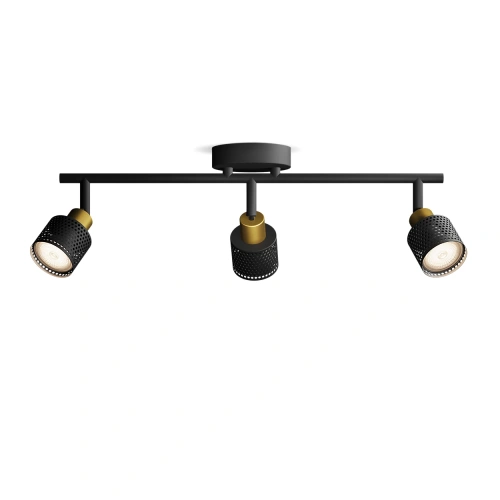 8720169300118 Sufitowy/ścienny reflektor punktowy Niall LAMPA PHILIPS