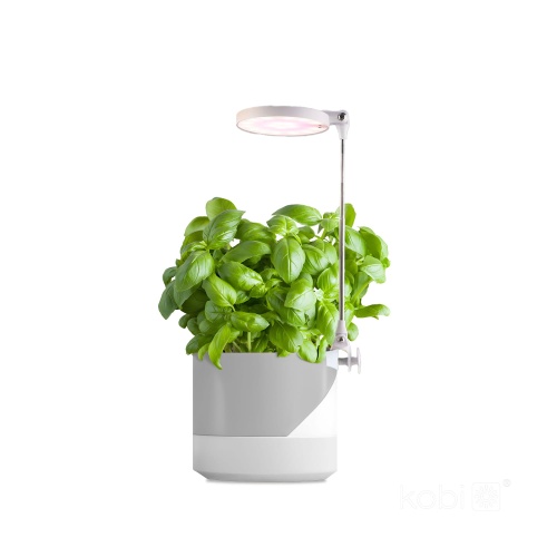 5902201376845 Lampa do roślin LED VERDI 10W KOBI