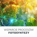 roslinkowe-b2b-pl-2-2d88f9b1.jpg