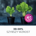 5902201382969 Żarówka do roślin LED PLANTY 40W E27 KOBI