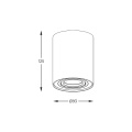 Spot RONDOC 20038-WH-N PLAFON LAMPA NATYNKOWA ZUMA LINE