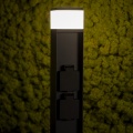 38765_9.jpg