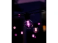 Festavia-Globe-WCA-Bulb-4x5-PUP.webp