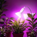 Lampka biurkowa PLANTY CLIP W DUO 2xE27 biała Kobi Design LAMPA DO ROŚLIN
