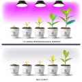 5907178003121 Żarówka do roślin LED PLANTY B 7W E27 1200K czarna Kobi Design