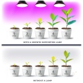 5907178003121 Żarówka do roślin LED PLANTY B 7W E27 1200K czarna Kobi Design