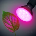 zarowka-do-roslin-led-planty-b-7w-e27-1200k-czarna-kobi-design-cea7d55070b8437ea0eb550864c52238-399f67c7.jpg