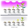 zarowka-do-roslin-led-planty-w-7w-e27-1200k-biala-kobi-design-5ec5d074475840ef8fa1f308887c2355-016275e8.jpg