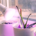zarowka-do-roslin-led-planty-w-7w-e27-1200k-biala-kobi-design-4f76f40962f24197bf569423ae08d51a-016275e8.jpg