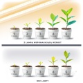lampa-do-roslin-led-growly-2x8-5w-kobi-design-68abc3d8c6bf48a0ae752756f13a471f-c2691559.jpg