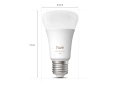 8721103107619-929003853518-Philips-Hue-WCA-A60-E27-2KIT-Pro-EU-GVR.webp