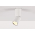 Maxlight Dot (C0123) C0123 Plafon lampa sufitowa oprawa spo