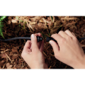 d85633d81b5c46a3a5e5a9cf00a838c2.png