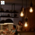 5f6aed55ecc448aab7a8aaaa00a1e200.jpg