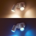 5063231-2.jpg